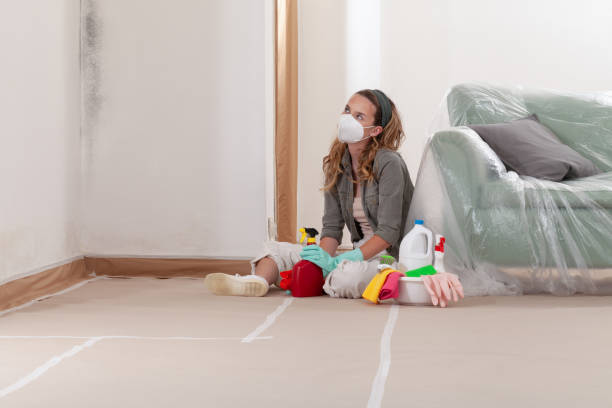 Reliable Mold Remediation contractor in Louisburg, NC by Cheap Mold Removal