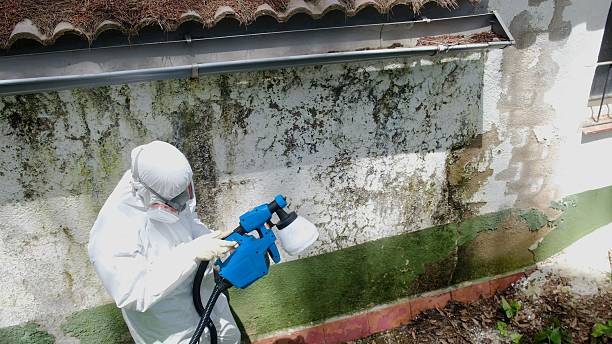 Trusted Mold Testing service in Louisburg, NC - Cheap Mold Removal